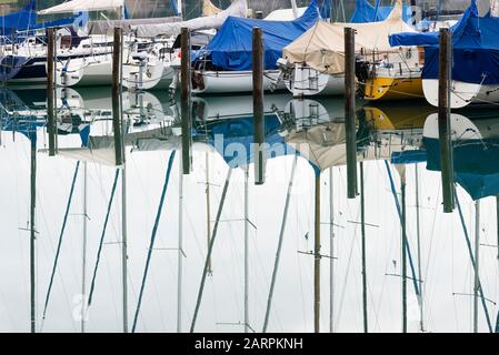Segelboote, die auf dem Steg gegraben werden, spiegeln sich in der Wasseroberfläche des Forggensee, Bayern, Deutschland, wider Stockfoto