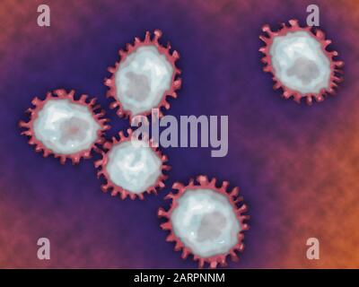 2019-nCoV Coronavirus schließen Coronaviridae-Virusfamilie Nidovirales, pathogene Hintergrundillustration Stockfoto