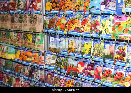 Päckchen Suttons Seeds hängen im Gartenzentrum, Blumensamen, Gemüsesamen UK Stockfoto