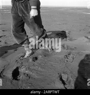 Serie dryval Oosterpolder Datum: 7. März 1957 Schlüsselwörter: Serie Stockfoto