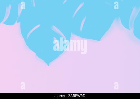 Schatten der monstera Blätter in blau und rosa Farben. Hintergrund. Stockfoto