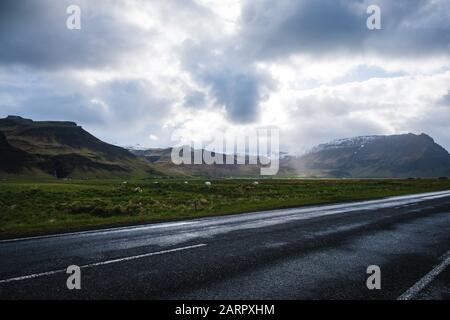 Islands Ringstraße, die von schönen Sonnenstrahlen angezündet wurde, die sich durch einen bewölkten Himmel auf dem Weg machen. Schneebedeckte Gipfel im Hintergrund und Tiere Stockfoto