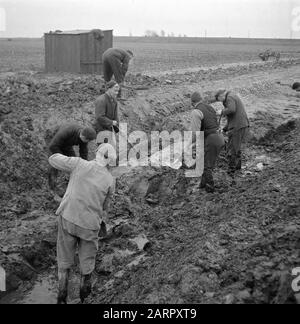 Wieringermeerpolder Datum: 8. Dezember 1945 Ort: Noord-Holland, Wieringermeer Stockfoto