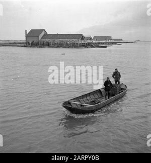 Wieringermeerpolder Datum: 8. Dezember 1945 Ort: Noord-Holland, Wieringermeer Stockfoto