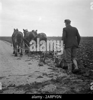 Wieringermeerpolder Datum: 10. Dezember 1945 Ort: Noord-Holland, Wieringermeer Stockfoto