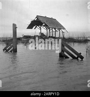 Wieringermeerpolder Datum: 8. Dezember 1945 Ort: Noord-Holland, Wieringermeer Stockfoto