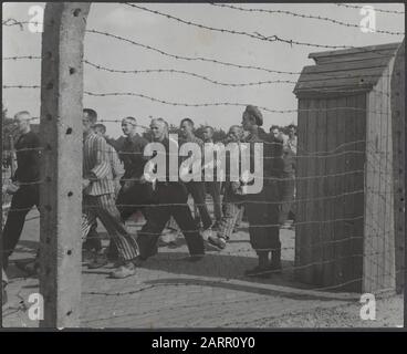 Reportage aus dem Lager von Vught Strafgefangenen in Vught zur Strafübung hinter Stacheldraht Datum: 1. Juni 1945 Ort: Amsterdam, Noord-Holland Schlüsselwörter: Gefangene, Internierungslager, Kriegsverbrechen Stockfoto