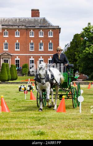 Fahrsport im Catton Park. Stockfoto