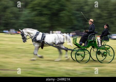 Fahrsport im Catton Park. Stockfoto