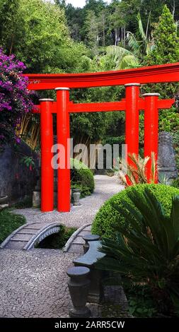 Tropischer Garten auf dem Monte oberhalb von Funchal Madeira. Dieser wunderbare Garten befindet sich am oberen Rand der Seilbahn von der Küste in Funchal Stockfoto