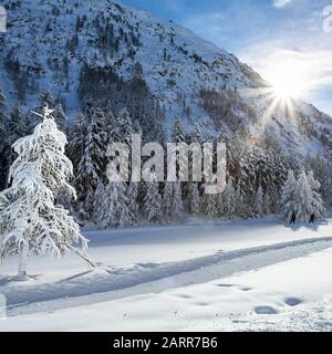 Blick auf das Rosegtal - Engadin - Schweiz Stockfoto