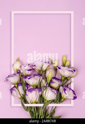 Blumen auf pinkfarbenem Hintergrund. Minimales Design. Kartendesign mit weißem Rahmen und kostenlosem Kopierraum, Valentines, Mother Day, Women Day, 8. März Stockfoto