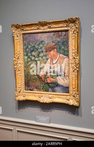 Ein gerahmter Pissaro, Öl auf Leinwand, "The Gardener, Old Bauernhaus Mit Kohl", hängt in Der National Gallery of Art, Washington, D.C. Stockfoto
