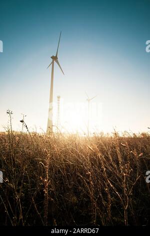 Windkraftanlagen bei Sonnenuntergang mit blauen und gelben Farben auf einer Wiese, Konzept der ökologischen Energie, Klimawandel, erneuerbare Energien Stockfoto