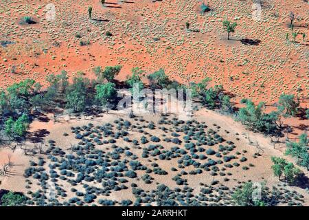 Australien, NT, Luftaufnahme über Outback Landschaft rund um Alice Springs. Stockfoto