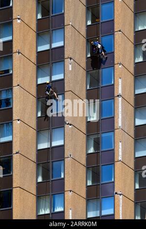 Australien, Sydney, zwei Fensterputzer, die draußen an der Fassade des Bürogebäudes arbeiten Stockfoto