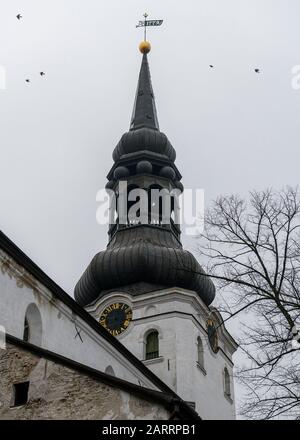 Turmspitze der St Mary's Cathedral im Winter. Tallinn, Estland. Die St. Mary's ist die älteste erhaltene Kirche Estlands. Stockfoto