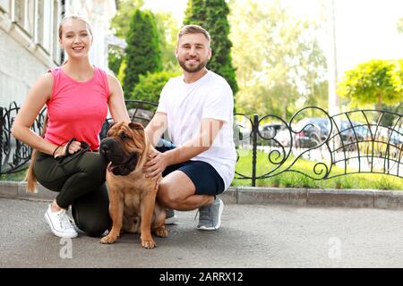 Sportliches Paar mit niedlichen Hund wandern im Freien Stockfoto