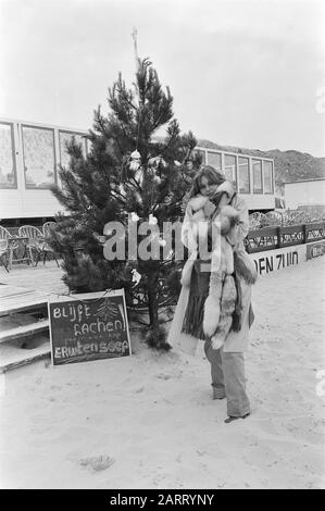 Schlechtes Sommerwetter: Weihnachtsbaum am Strand in Bergen aan Zee Dame im Fellmantel Datum: 30. Juni 1977 Ort: Berge am Meer Schlagwörter: Weihnachtsbäume, Strände Stockfoto