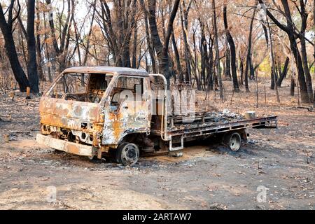 Ein verbrannter Lastwagen unter stark verbrannten Eukalyptusbäumen nach einem Buschfeuer in Den Blue Mountains Stockfoto