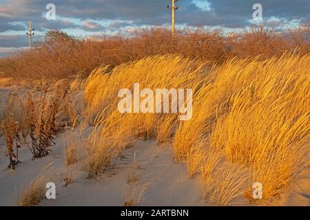 Sandy Hook Bay wird von der untergehenden Sonne beleuchtet und beleuchtet das goldene Gras in Highlands, New Jersey, USA -02 Stockfoto