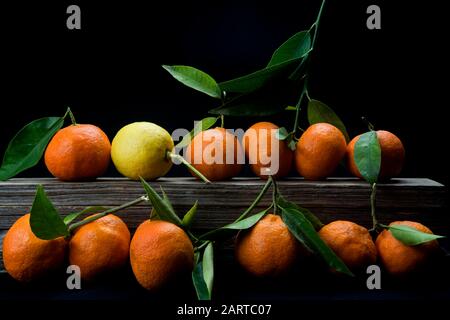 Organische Mandarinen mit Blättern auf schwarzem Grund Stockfoto