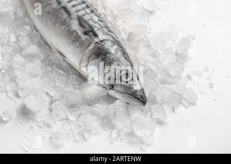Roher Makrelenfisch mit Eis auf weißem Hintergrund Stockfoto
