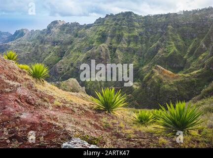 Insel Santo Antao, Kap Verde. Agave Pflanzen an einem Steilhang mit Berghang im Hintergrund. Stockfoto