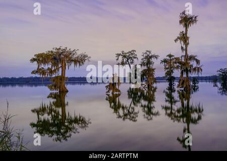 USA, Deep South, Louisiana, Lafayette, Lake Martin Stockfoto