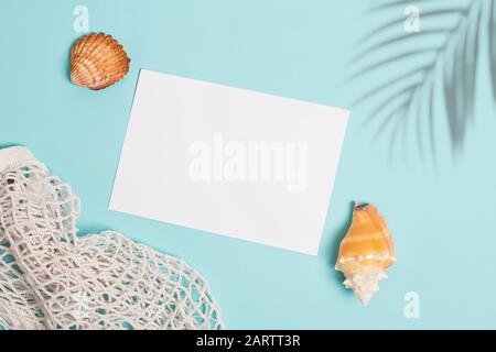 Seashells und Palmschatten auf blauem Hintergrund, Draufsicht Stockfoto