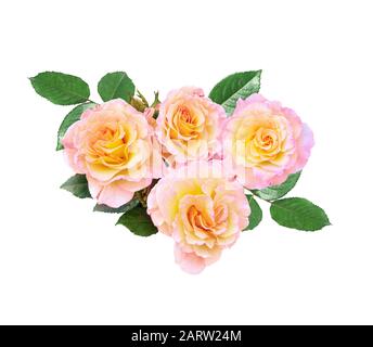 Bund sanfter rosa-gelber Rosenblüten mit Knospen und grünen Blättern isoliert auf weißem Grund. Zarte, elegante Blumenmuster für jeden Festzart Stockfoto