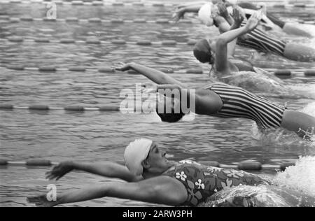 Niederländische Schwimmweltmeisterschaften in Breda Start 200 m Rückenschlag für Frauen Datum: 25. Juli 1969 Ort: Breda, Noord-Brabant Schlüsselwörter: Sport, Wettbewerbe, Schwimmen Stockfoto
