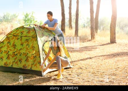 Freunde, die ein Zelt im Wald aufstellen Stockfoto