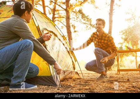 Freunde, die ein Zelt im Wald aufstellen Stockfoto