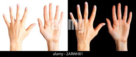 Satz von Frauen, die Hände zeigen und auf Finger zählen, die auf einem weißen und schwarzen isoliert sind Stockfoto