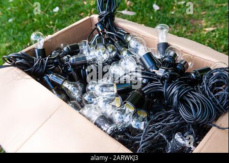 Glühbirnen und Kabel am Kartonkasten, Nahaufnahme. Stockfoto