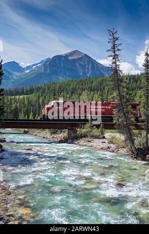 Zug der Canadian Pacific Railroad, der den Bow River überquert und von Fairview Mountain, Den Rockies, Alberta, Kanada, begleitet wird Stockfoto