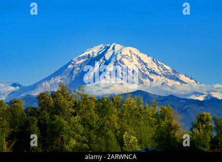 Mount Rainier im Staat Washington an einem Sommertag. Stockfoto