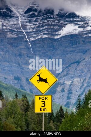 Elk Crossing Highway Zeichen Sie im Schatten von Mount Robson, Mount Robson Provincial Park, Canadian Rockies, British Columbia, Kanada Stockfoto