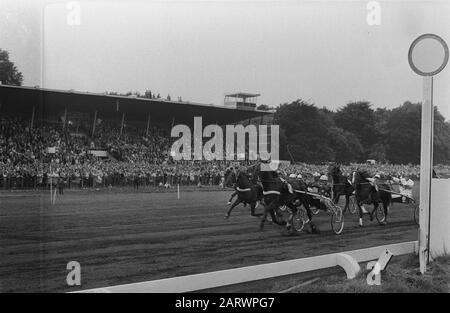 Kurs om de Grand Prix der Niedrigen Länder bei Duempt 1970 Tatusca d'Avril mit auf dem sulkie Fahrer J. Rousse (vorne links) ist die erste über das Ziel Anmerkung: Siehe auch Teilenummern: 923-6324, 923-6325, 923-6326 Datum: 28. Juni 1970 Ort: Den Haag, Duempt, Zuid-Holland Schlüsselwörter: Tretsport und Rennsport, Pferd und Wagen, Pferde, Reitsport, Sulkies Personenname: Roussel, J Stockfoto