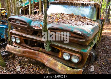 White, GA/USA - Oktober 27, 2018 - Nahaufnahme eines Alten Schrottwagens in einem Junk-Yard mit aus dem Front Grill Wachsendem Baum Stockfoto