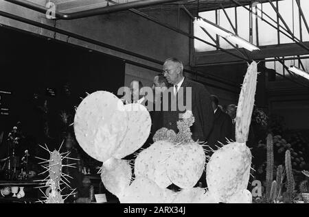 Ausstellung der Floristik in Aalsmeer von Baron F. X. van der Straten Waillet eröffnet am 8. November 1963 Ort: Aalsmeer, Noord-Holland Schlüsselwörter: Ausstellungen Stockfoto