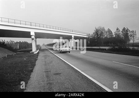 Rijksweg A4 Amsterdam - den Haag Auf der Höhe von Nieuw-Vennep Datum: 16. Oktober 1966 Standort: Nieuw-Vennep, Noord-Holland Schlagwörter: Autos, Autobahnen, Viadukte Stockfoto