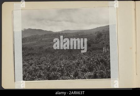 Fotoalbum Deli Maatschappij: Enterprises Boekit Malintang/Aer Poetih Tea Plantage bei Enterprise Boekit Malingtang Datum: 1867 Ort: Indonesien, Niederländische Ostindien, Sumatra Schlüsselwörter: Plantagen, Tee Stockfoto