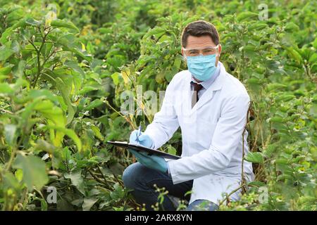 Baulicher Agraringenieur, der im Außendienst arbeitet Stockfoto