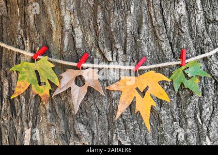 WORTLIEBE aus Blättern, die am Seil in der Nähe von Bäumen im Freien hängen Stockfoto