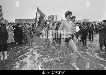 Traditionelles Neujahrstauchen am Zandvoort Datum: 1. Januar 1982 Ort: Noord-Holland, Zandvoort Schlüsselwörter: Neujahrstauchgang Stockfoto