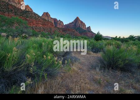 Der Wachmann vom parus Trail im zion Nationalpark in den usa Stockfoto