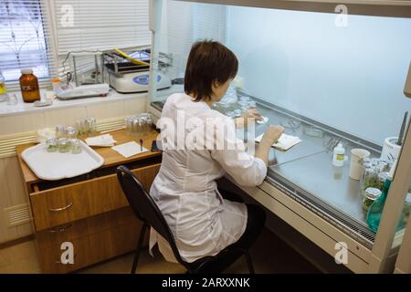 Wissenschaftler arbeitet in einer laminaren Schachtel. Vorbereitung von Mikropflanzen zum Klonen in vitro Stockfoto