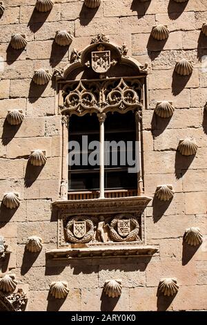 Detail der Fenster des historischen Hauses der Schalen, die 1517 von Rodrigo Arias de Maldonado, Ritter des Santiago de Compostela, erbaut wurden Stockfoto